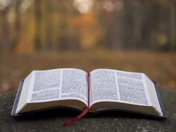 Jóvenes británicos dicen que prohibirían la Biblia por “discurso de odio”